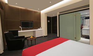 Accommodation - Suite Room in Ahmedabad - Gandhinagar | Hotel German Palace Airport Road Ahmedabad | Book Hotel Rooms